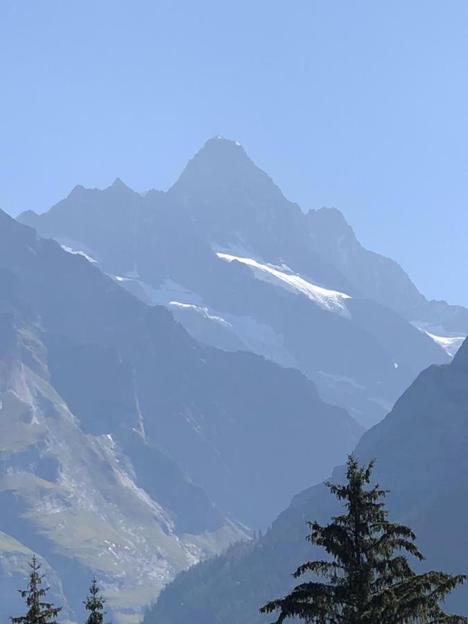 Romantisches Plaetzchen In Der Natur Grindelwald Luaran gambar