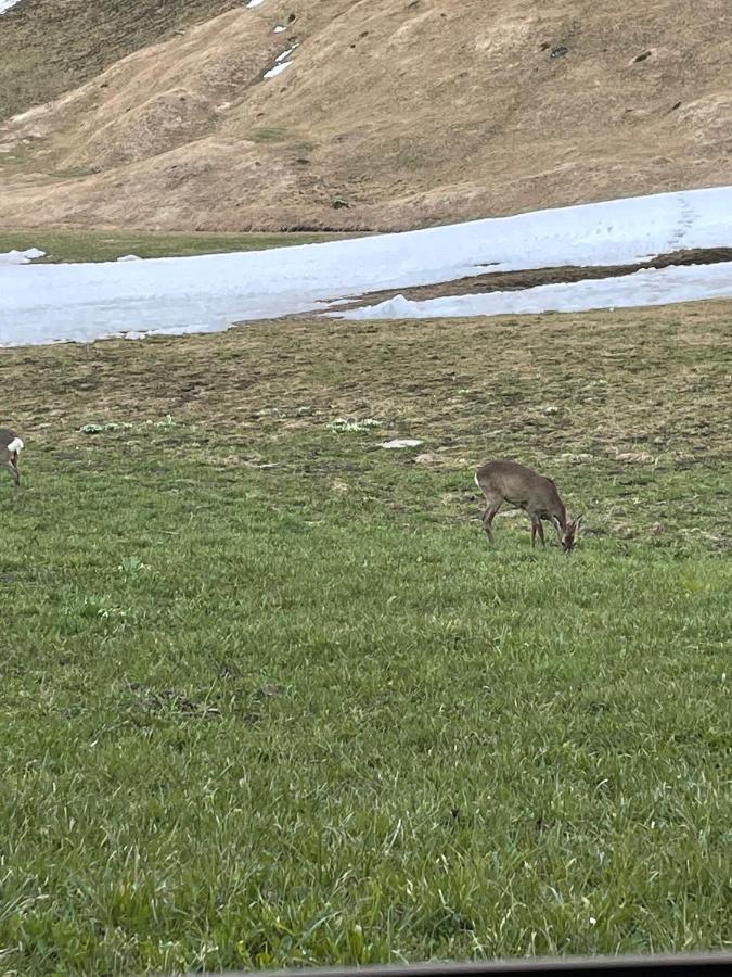 Romantisches Plaetzchen In Der Natur Grindelwald Luaran gambar