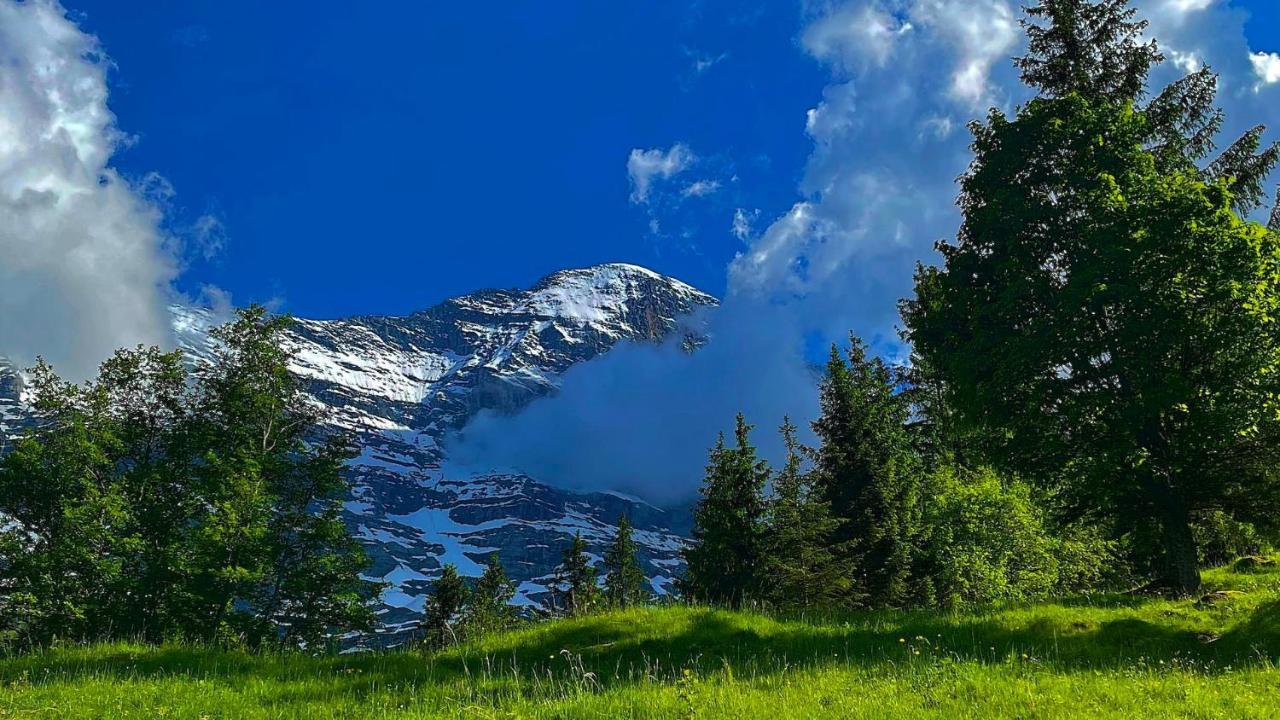 Romantisches Plaetzchen In Der Natur Grindelwald Luaran gambar