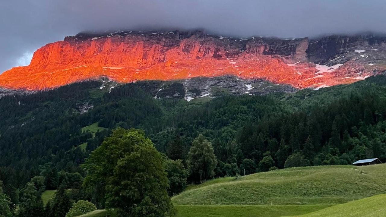Romantisches Plaetzchen In Der Natur Grindelwald Luaran gambar