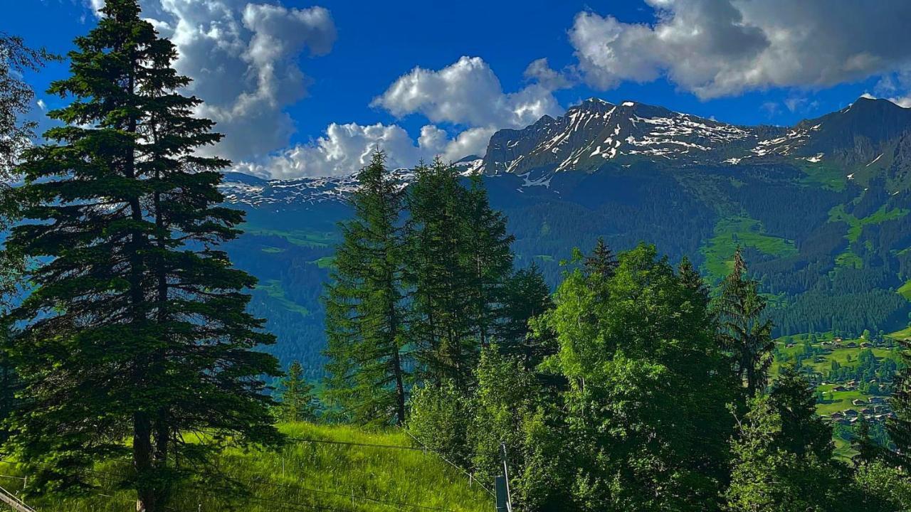 Romantisches Plaetzchen In Der Natur Grindelwald Luaran gambar