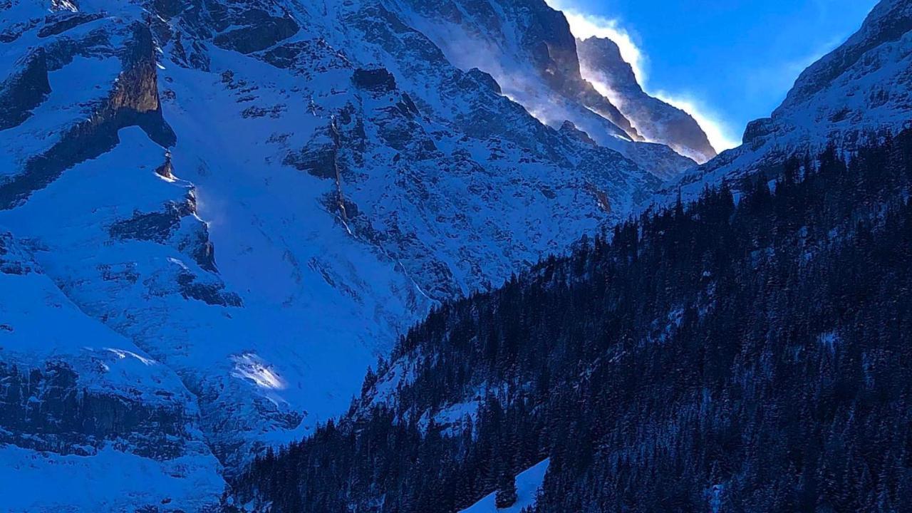 Romantisches Plaetzchen In Der Natur Grindelwald Luaran gambar