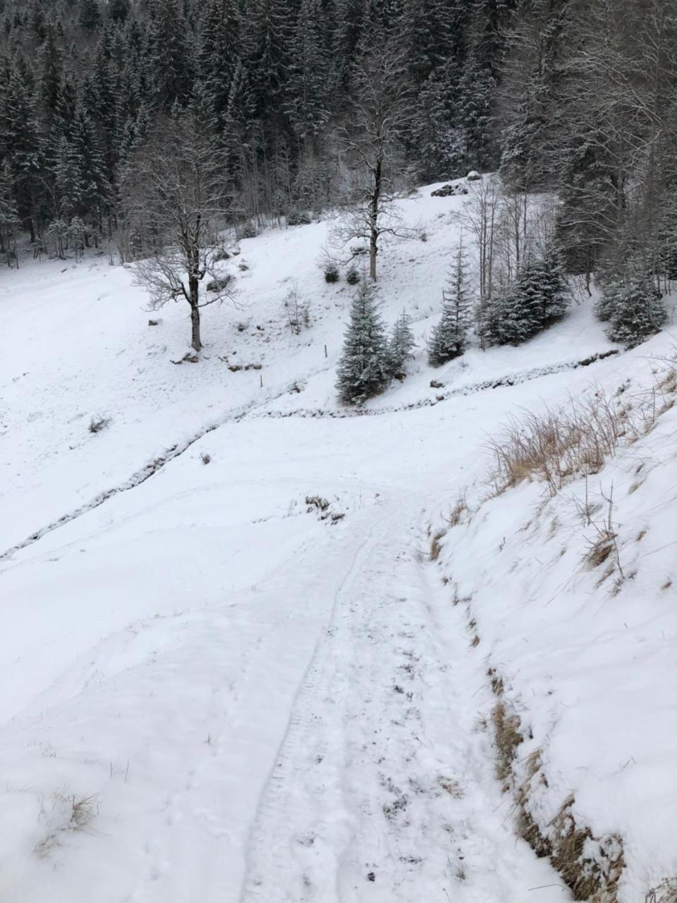 Romantisches Plaetzchen In Der Natur Grindelwald Luaran gambar