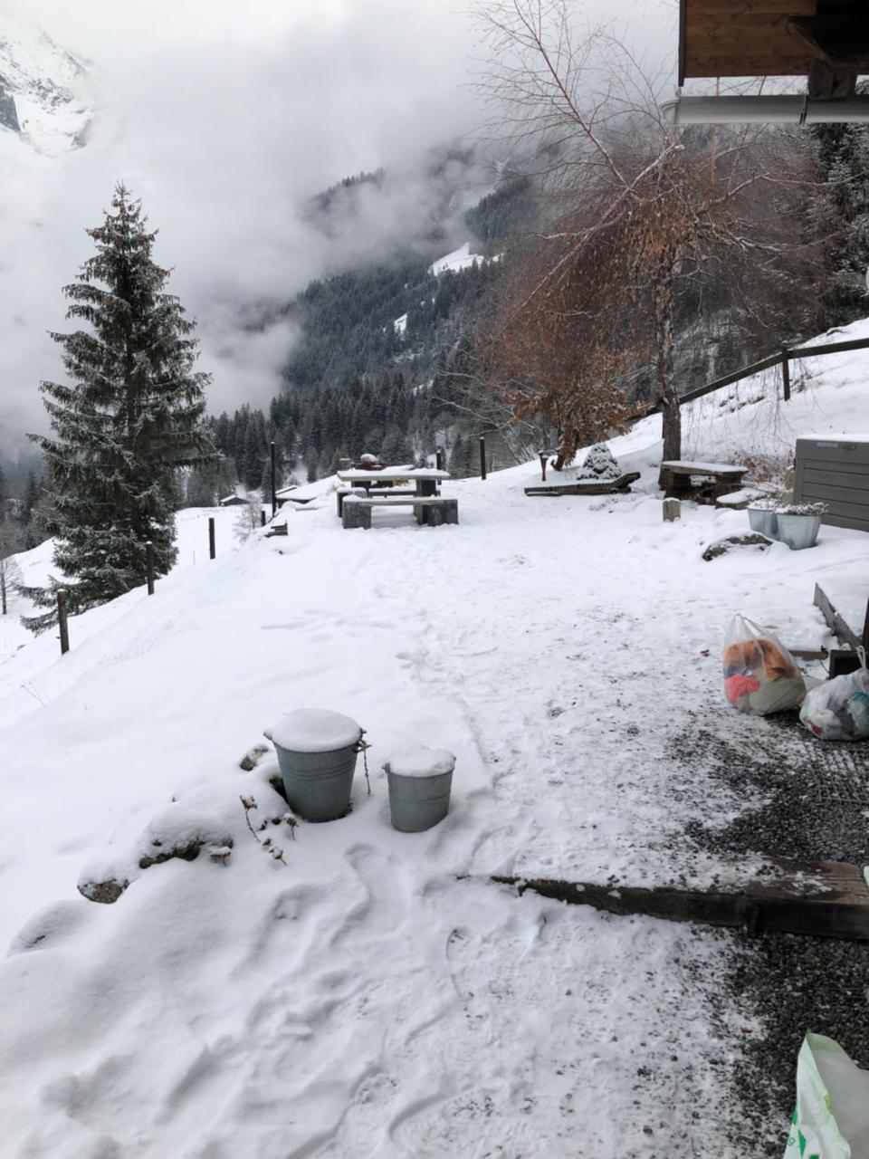 Romantisches Plaetzchen In Der Natur Grindelwald Luaran gambar